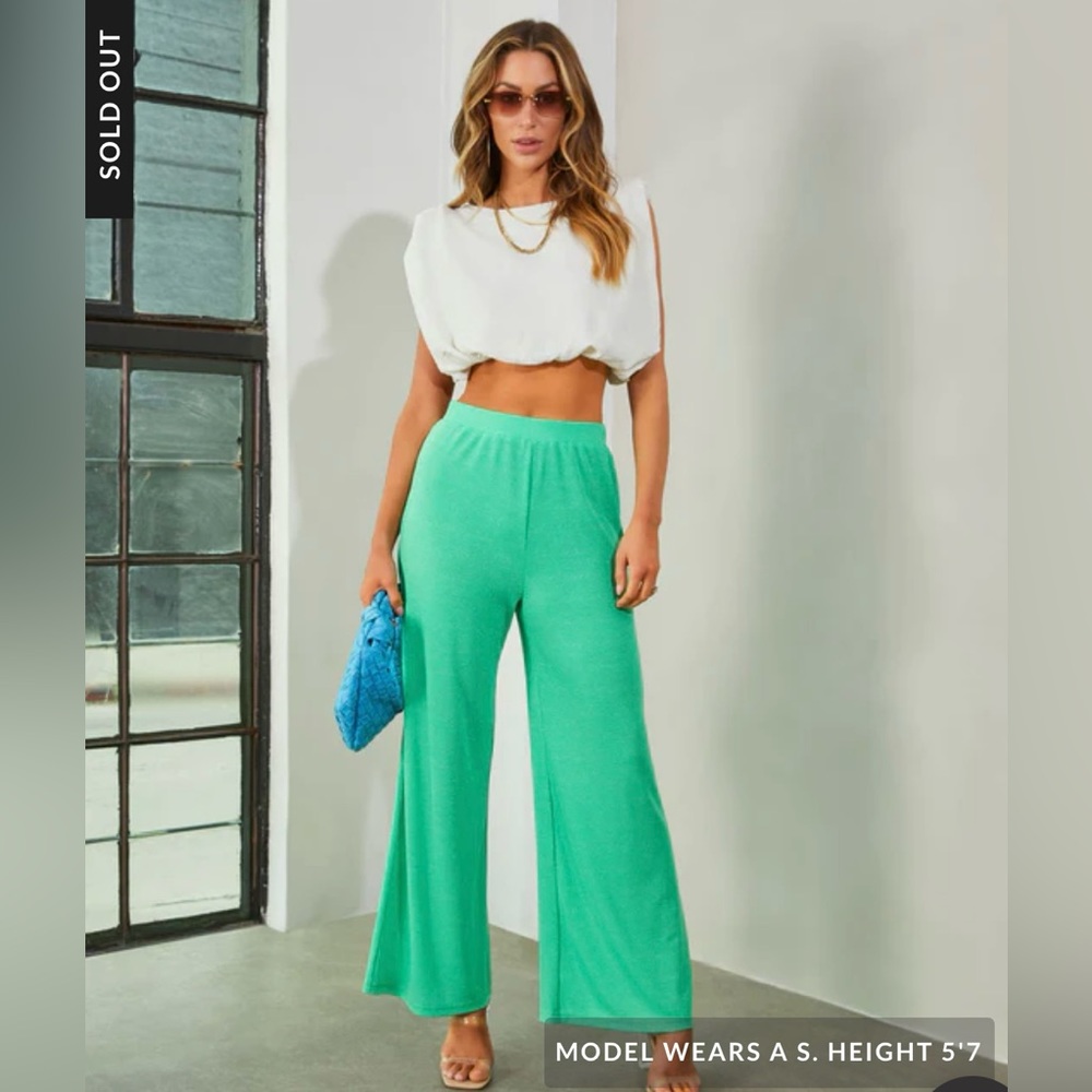 Never worn from Vici! Women’s shimmery wide-leg green light weight pants, size S